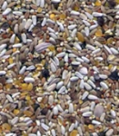 SB Bird Farm Hookbill Mix  - SEEDS