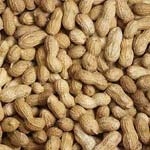 Peanuts - NUTS